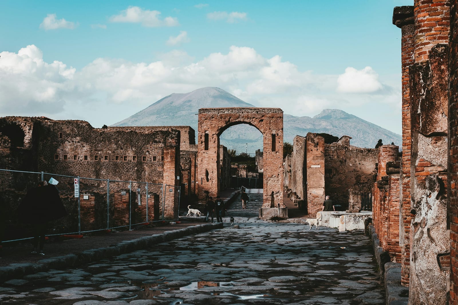 Image for Latin 1